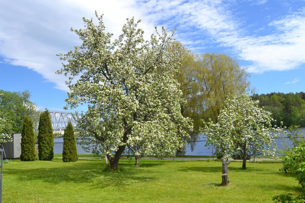 Lossiranta Lodge Savonlinna Ngoại thất bức ảnh